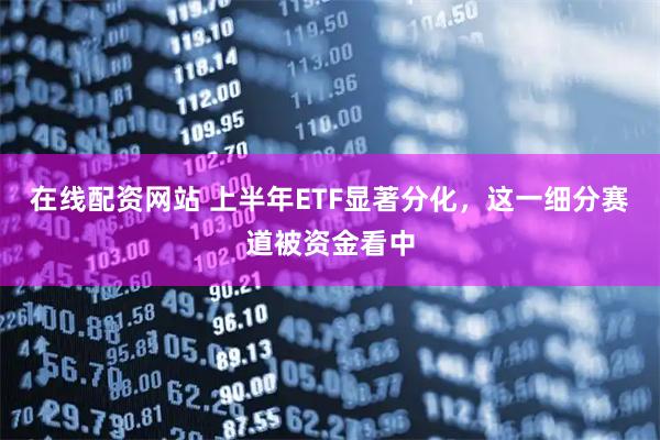 在线配资网站 上半年ETF显著分化,这一细分赛道被资金看中